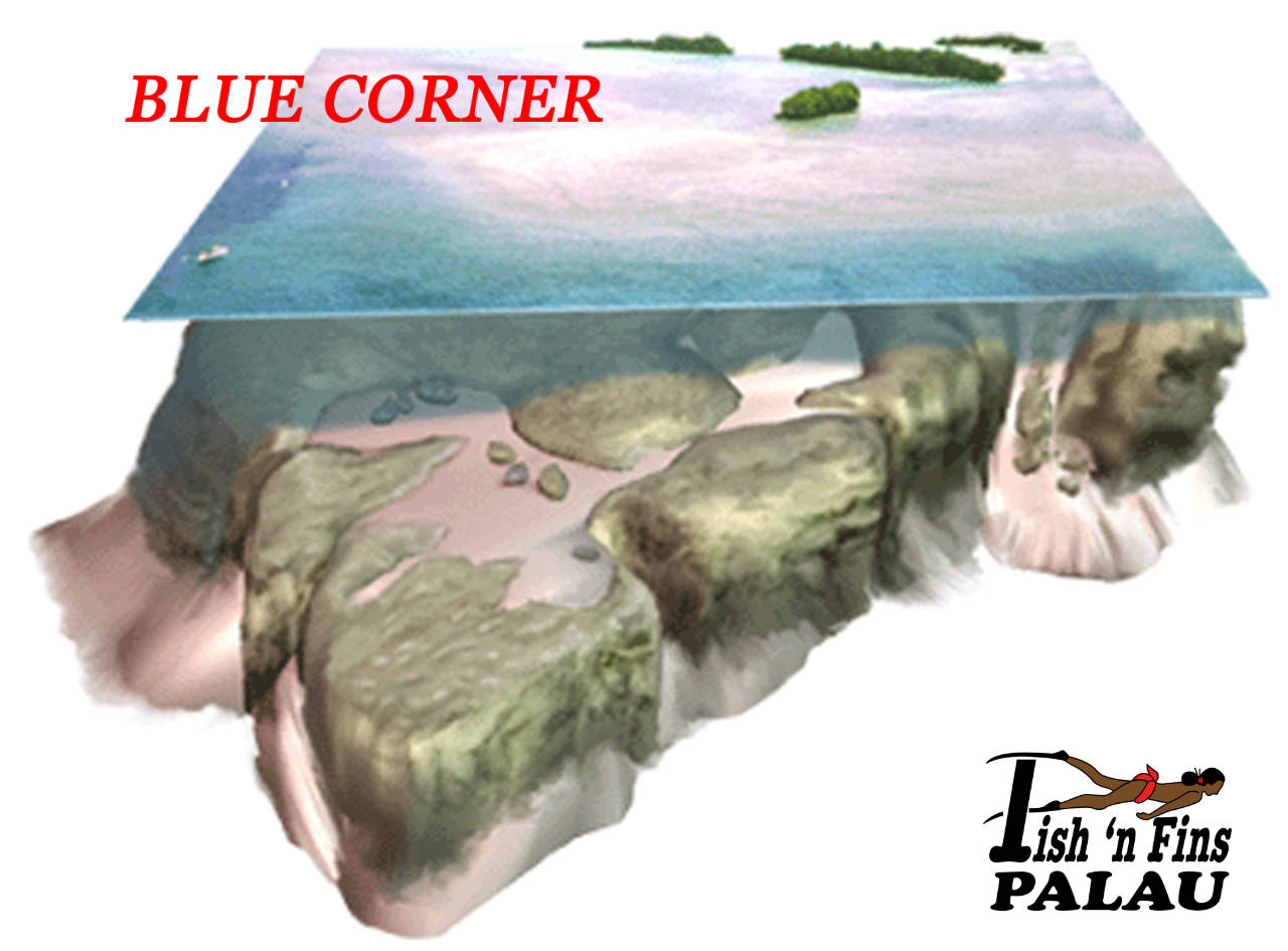 Infographic of Blue Corner Dive Site - computer animation of the site